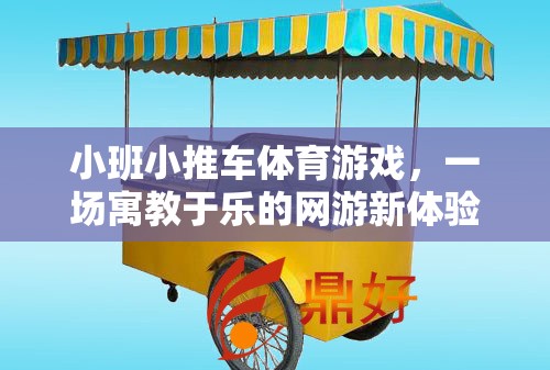 小班小推車體育游戲，一場(chǎng)寓教于樂(lè)的網(wǎng)游新體驗(yàn)