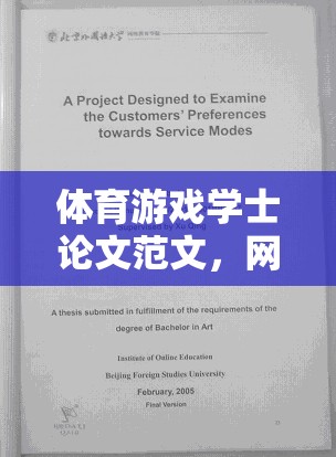 體育游戲?qū)W士論文范文，網(wǎng)絡(luò)游戲的發(fā)展與影響研究