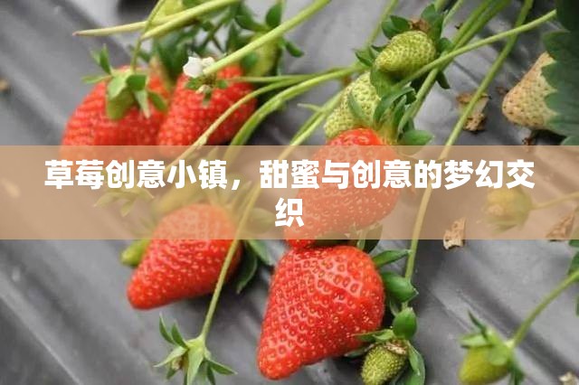 草莓創(chuàng)意小鎮(zhèn)，甜蜜與創(chuàng)意的夢幻交織