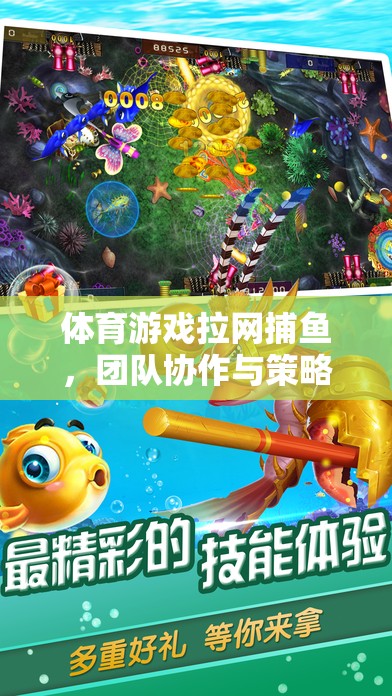 體育游戲拉網(wǎng)捕魚，團隊協(xié)作與策略并重的歡樂盛宴