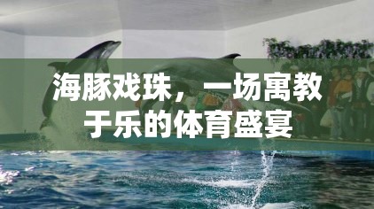 海豚戲珠，寓教于樂的體育盛宴