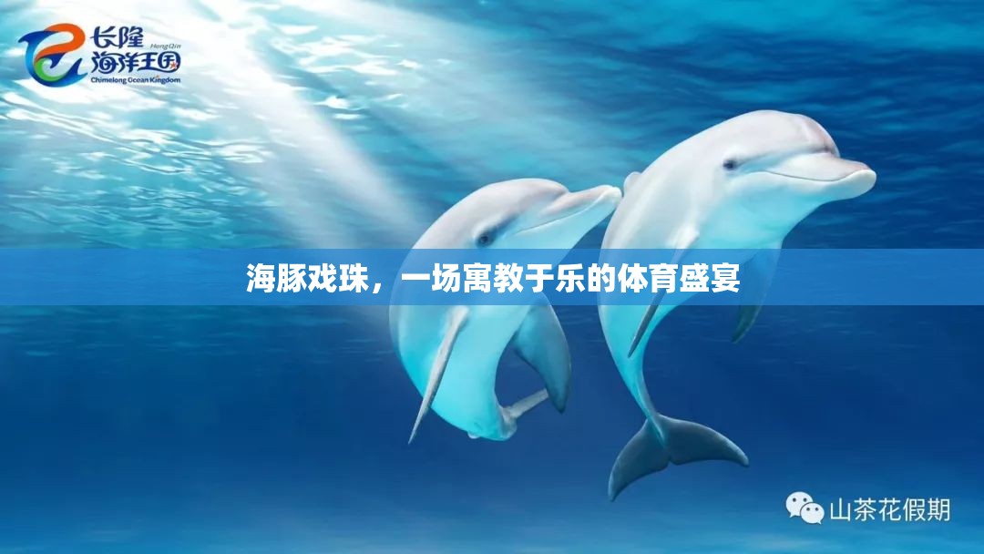 海豚戲珠，寓教于樂的體育盛宴