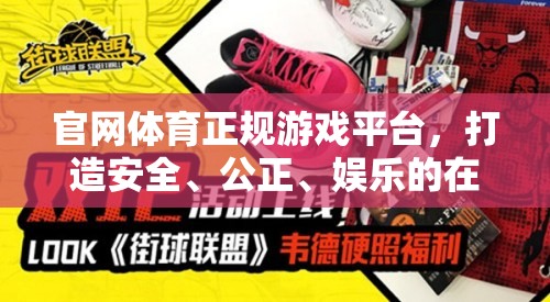 打造安全、公正、娛樂(lè)的在線游戲新體驗(yàn)，官網(wǎng)體育正規(guī)游戲平臺(tái)