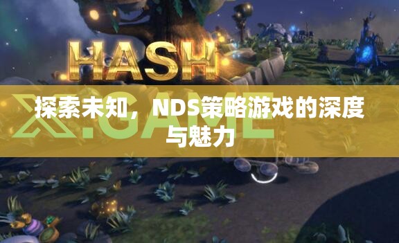 探索未知，NDS策略游戲的深度與魅力