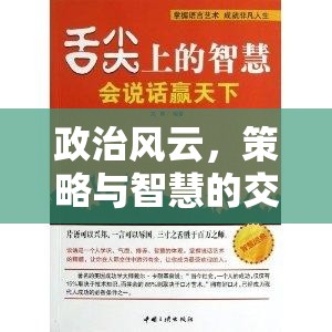 權(quán)謀天下，政治風(fēng)云與策略智慧的交響曲