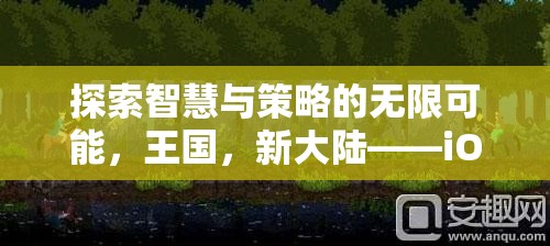 探索智慧與策略的無(wú)限可能，王國(guó)，新大陸——iOS上不可錯(cuò)過(guò)的策略游戲大作