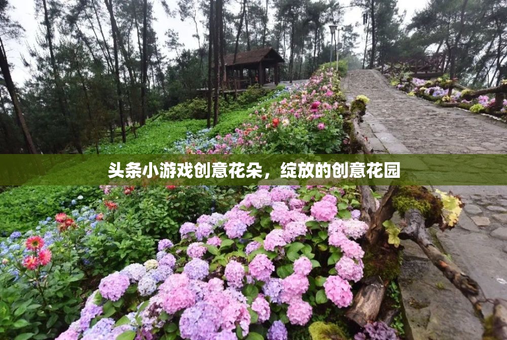 創(chuàng)意花朵綻放，探索頭條小游戲的花園