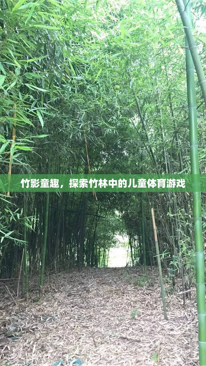 竹影童趣，探索竹林中的兒童體育游戲