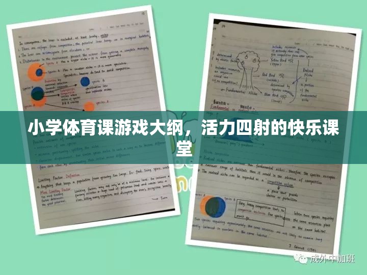 活力四射的快樂課堂，小學(xué)體育課游戲大綱