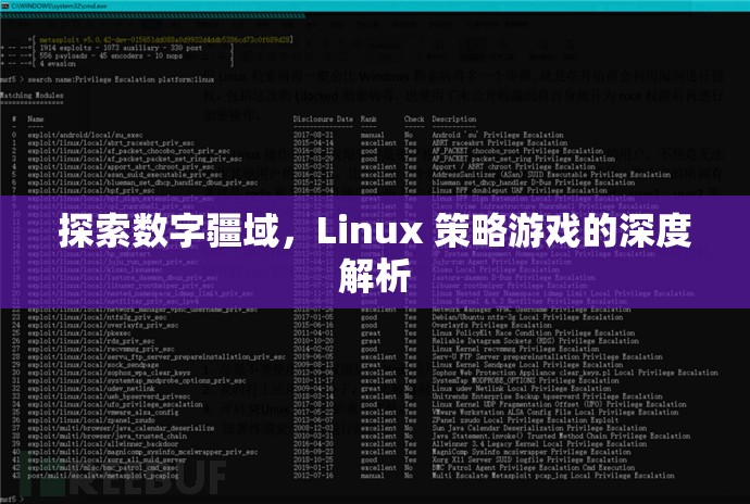 探索數(shù)字疆域，Linux策略游戲的深度解析