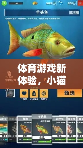 解鎖體育游戲新體驗(yàn)，小貓曬魚玩法全面解析