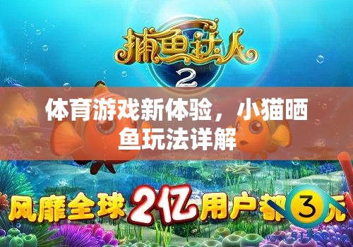 解鎖體育游戲新體驗(yàn)，小貓曬魚玩法全面解析