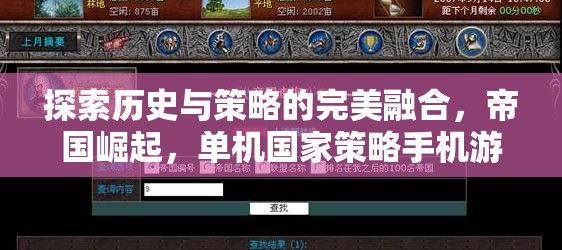 帝國崛起，歷史與策略的完美融合——一款單機國家策略手機游戲的深度解析