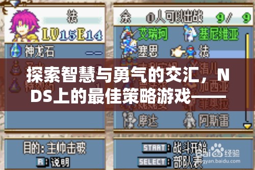 探索智慧與勇氣的交匯，NDS上的最佳策略游戲——火焰之紋章，新暗黑龍與光之劍