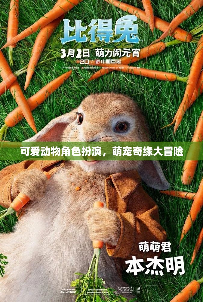 萌寵奇緣，可愛動物角色大冒險