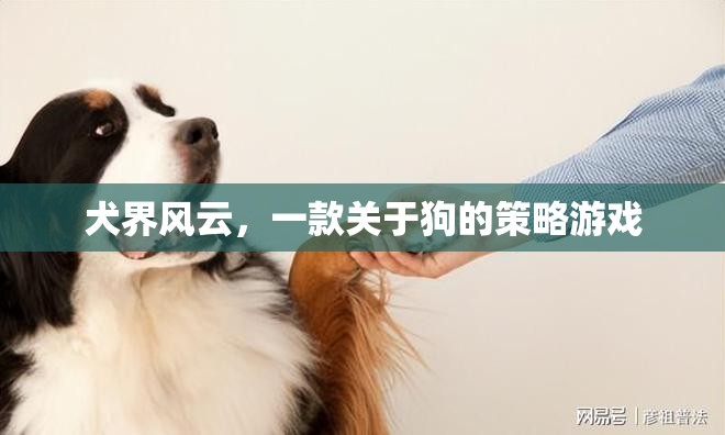 犬界風(fēng)云，策略與愛交織的狗狗王國(guó)