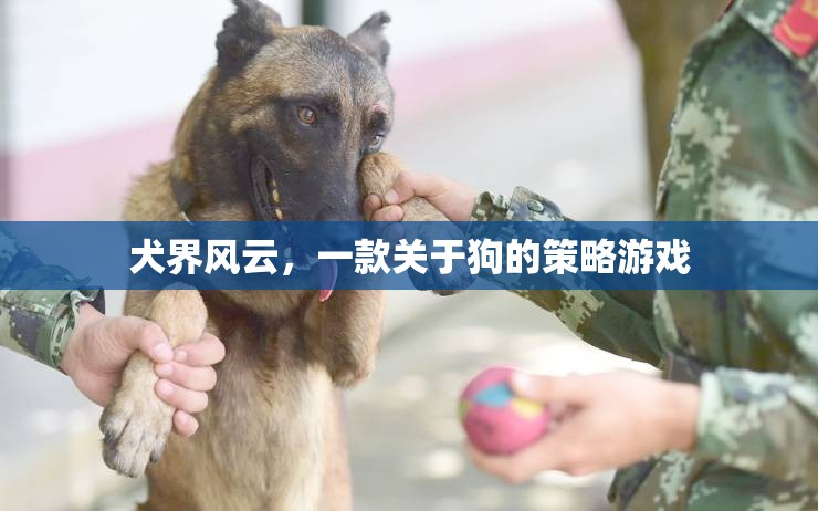 犬界風(fēng)云，策略與愛交織的狗狗王國(guó)