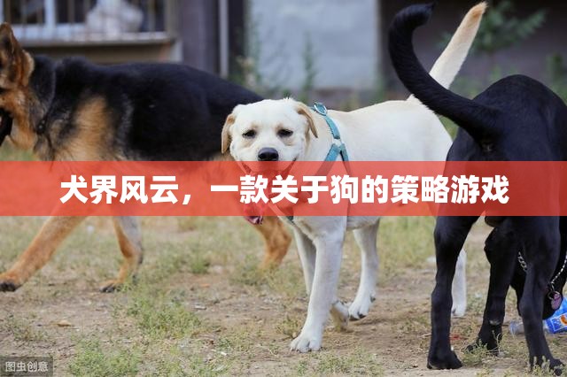 犬界風(fēng)云，策略與愛交織的狗狗王國(guó)