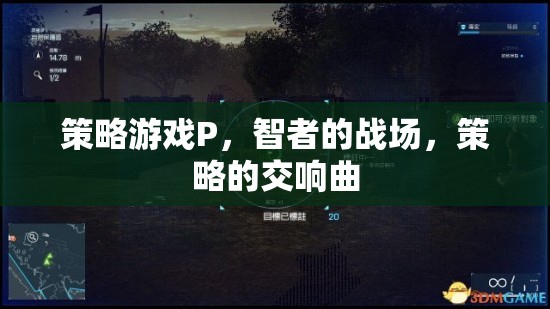 智者的戰(zhàn)場，策略游戲P的交響曲