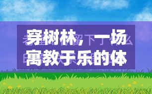 寓教于樂，穿樹林體育游戲的教學(xué)反思與啟示