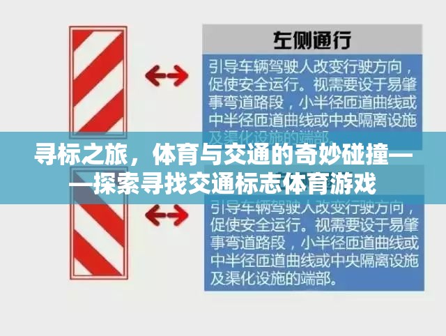 尋標之旅，體育與交通的奇妙碰撞——探索尋找交通標志體育游戲