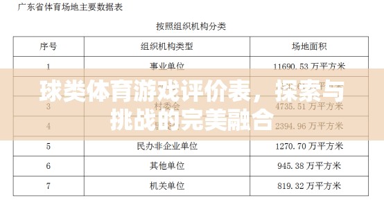 探索與挑戰(zhàn)，球類體育游戲的完美融合評價