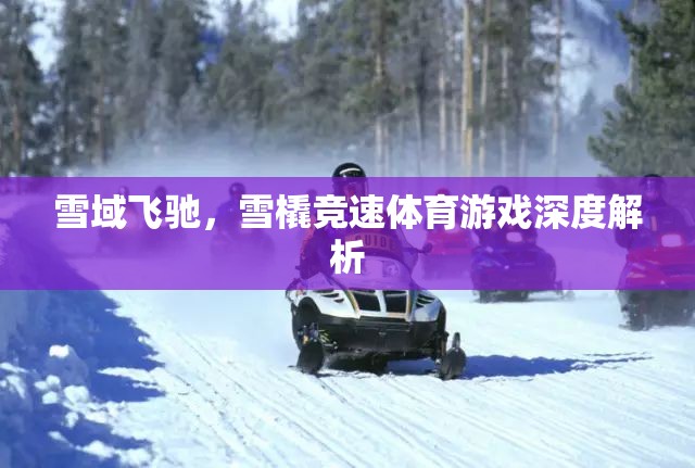 雪域飛馳，深度解析雪橇競速體育游戲的魅力與挑戰(zhàn)