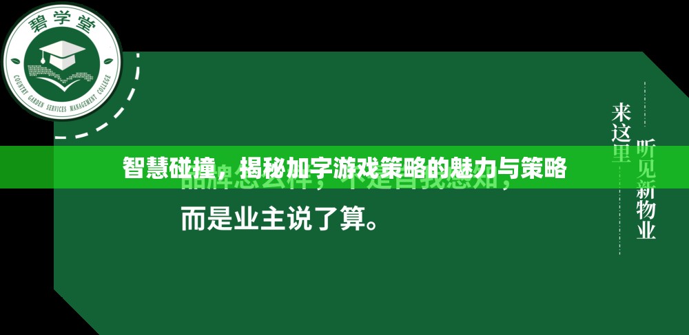 智慧碰撞，揭秘加字游戲策略的魅力與策略