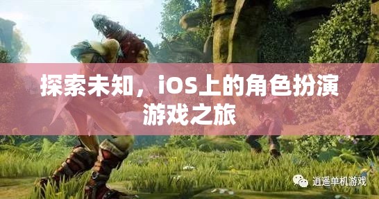 探索未知，iOS上的角色扮演游戲之旅