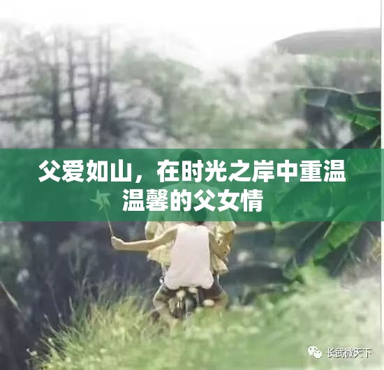 時(shí)光之岸的溫馨回憶，父愛(ài)如山的深情篇章