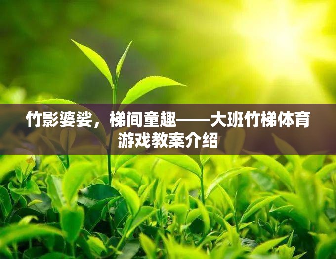 竹影婆娑，梯間童趣——大班竹梯體育游戲教案介紹