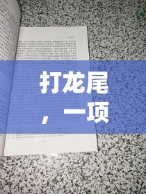 傳統(tǒng)與現(xiàn)代交融，探索‘打龍尾’體育游戲的魅力