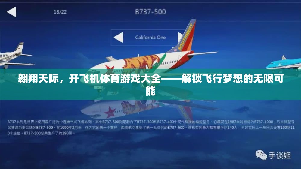 解鎖飛行夢想，翱翔天際的飛機(jī)體育游戲大全
