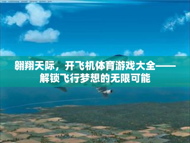 解鎖飛行夢想，翱翔天際的飛機(jī)體育游戲大全