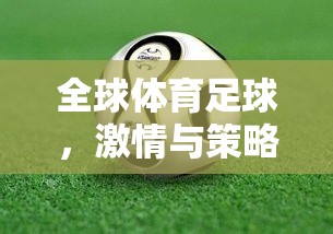 數(shù)字綠茵場，全球體育足球的激情與策略并進