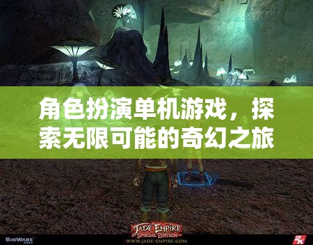 奇幻之旅，角色扮演單機(jī)游戲的無限探索