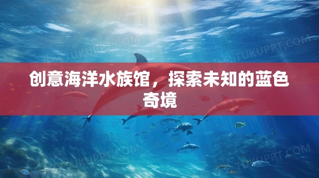 藍色奇境，創(chuàng)意海洋水族館的探索之旅