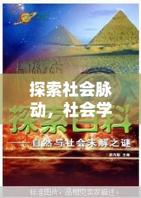 社會棱鏡，探索與角色扮演——社會學(xué)在互動游戲中的實(shí)踐與啟示