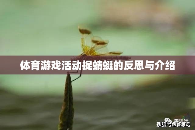 捉蜻蜓，一項體育游戲活動的反思與介紹