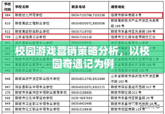 校園奇遇記，游戲營銷策略的深度剖析