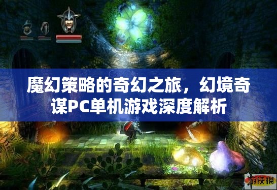 魔幻策略的奇幻之旅，幻境奇謀PC單機(jī)游戲深度解析