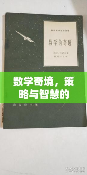 數(shù)學(xué)奇境，策略與智慧的交響樂章——探索數(shù)界風(fēng)云