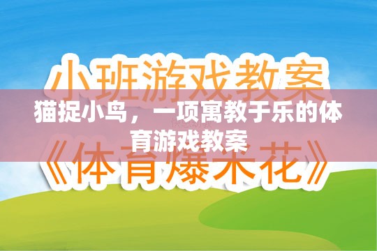 貓捉小鳥，一項寓教于樂的體育游戲教案