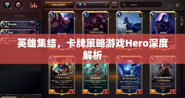 英雄集結(jié)，深度解析卡牌策略游戲Hero