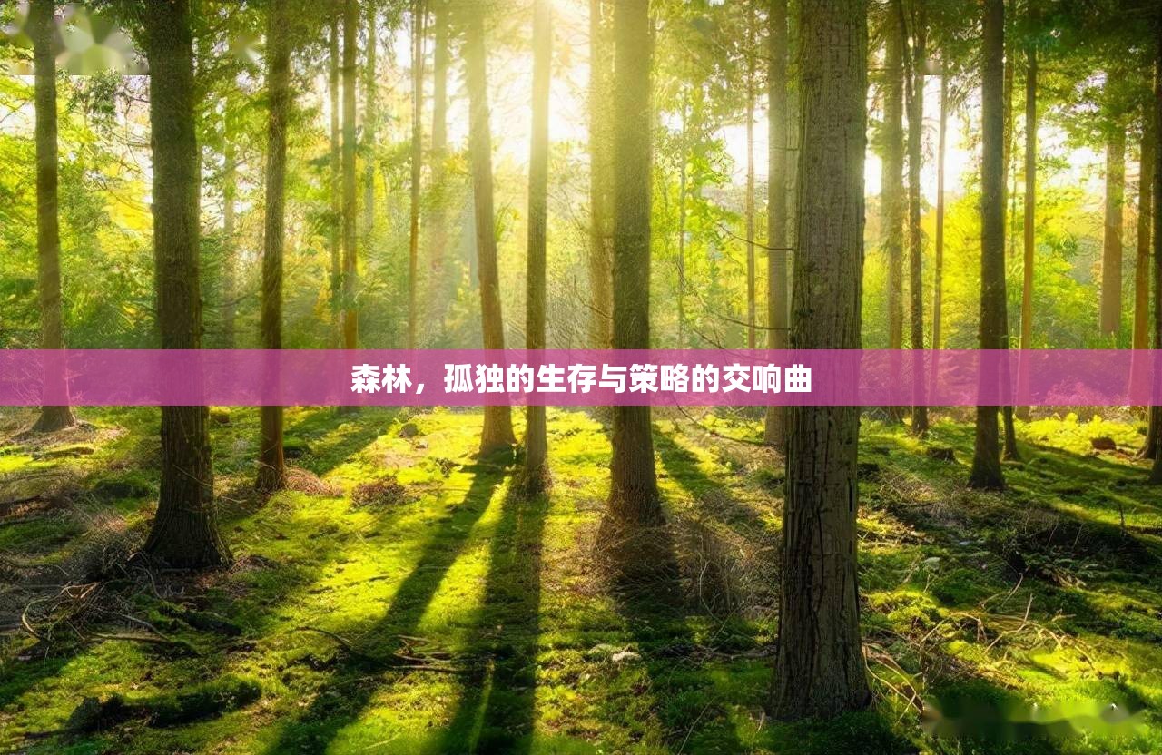 森林，孤獨(dú)的生存與策略的交響曲