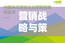 營銷戰(zhàn)略與策略游戲，商海奇謀，數(shù)字疆域