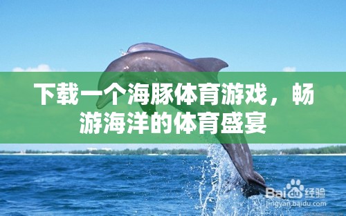 海豚體育游戲，暢游海洋的體育盛宴