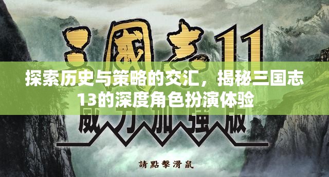 三國志13，歷史與策略的深度交匯，揭秘角色扮演的獨特體驗