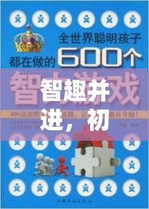 智趣并進(jìn)，初中體育課智慧迷宮智力游戲教案設(shè)計(jì)