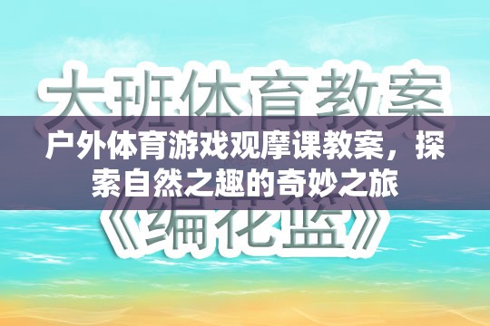 探索自然之趣，戶外體育游戲觀摩課教案的奇妙之旅